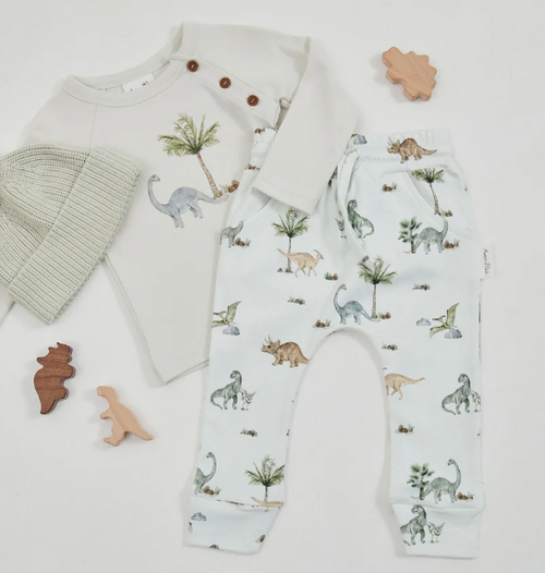 Aster & Oak Organic Dino Harem Pants