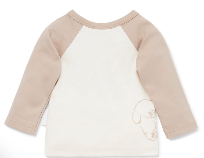 Aster & Oak Organic Bear Print Raglan Tee