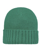 Toshi Organic Beanie Rover Tea Tree, a a green knit beanie on a white background.